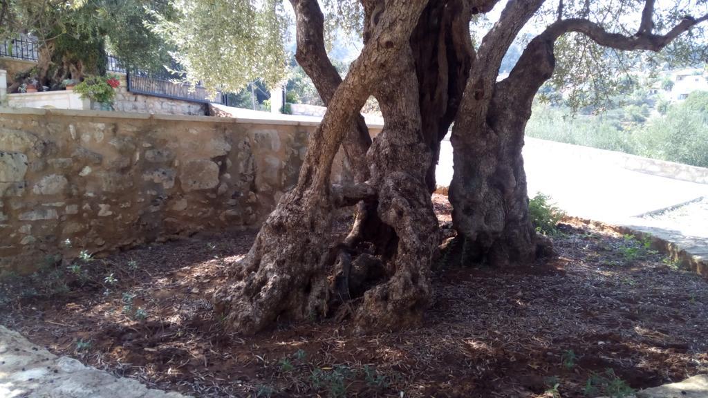 Tzitzifes Stone Mansion Villa Dış mekan fotoğraf