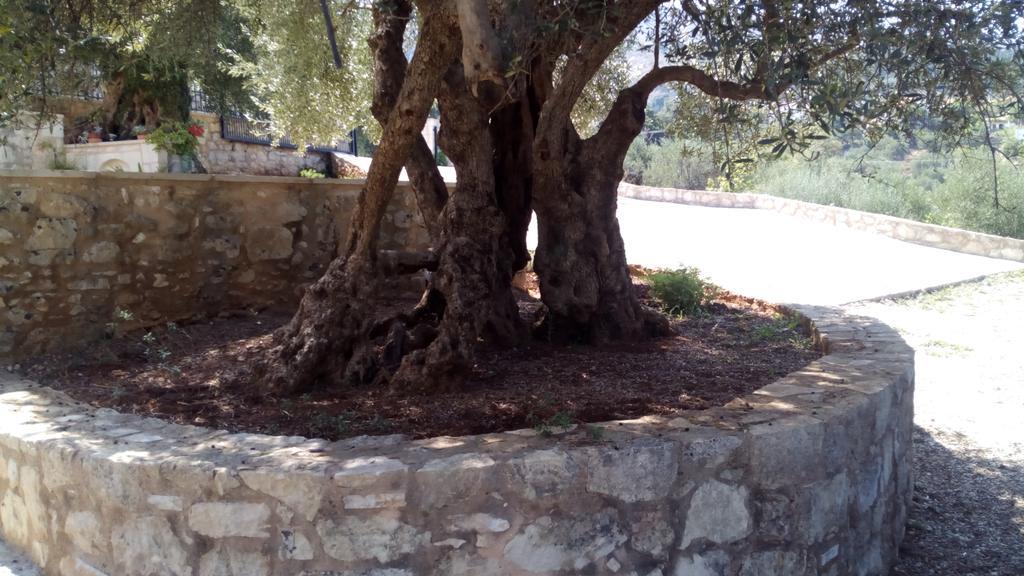 Tzitzifes Stone Mansion Villa Dış mekan fotoğraf