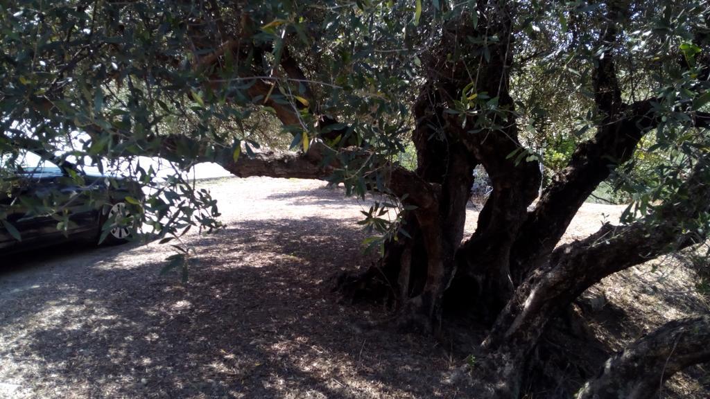 Tzitzifes Stone Mansion Villa Dış mekan fotoğraf