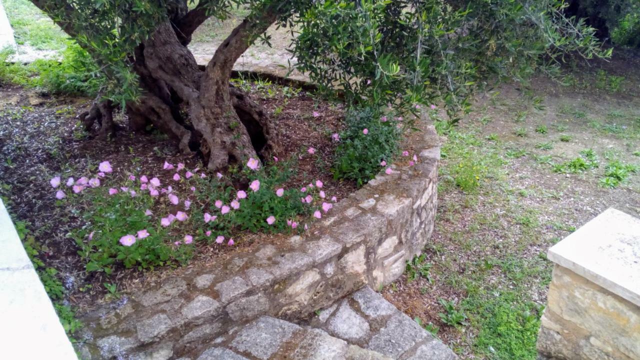 Tzitzifes Stone Mansion Villa Dış mekan fotoğraf